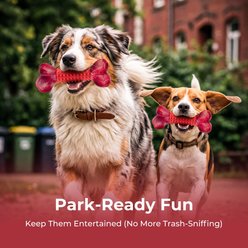 Kseroo Aggressive Chewers Beef Flavor Nylon & Rubber Tough Chew Dog Toy, Red, 1 count slide 2 of 9