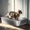 Show in main carousel: FUTAM High Sided Stainless Steel Cat Litter Box, X-Large, 2 count slide 7 of 7