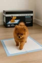 Parisian Pet Premium Training Pads Box Leak-Proof Absorbent Puppy Pads, 50 count slide 2 of 5