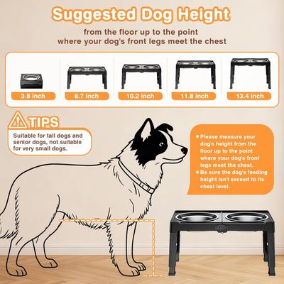 Show full view: Mutrelenx Stainless Steel Elevated Dog Bowls & Stand, Large: 50-oz, Black slide 7 of 8