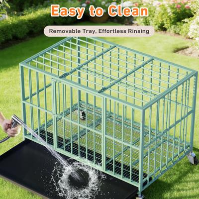 Show full view: Xbrigh Indoor Escape-Proof Double-Door Steel Dog Cage with Removable Tray & Wheels, Green, 48-in slide 7 of 9