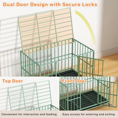 Show full view: Xbrigh Indoor Escape-Proof Double-Door Steel Dog Cage with Removable Tray & Wheels, Green, 48-in slide 2 of 9