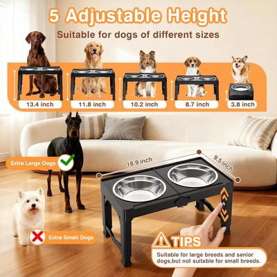 Show full view: Mutrelenx Stainless Steel Elevated Dog Bowls & Stand, Large: 50-oz, Black slide 2 of 8
