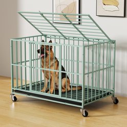 Xbrigh Indoor Escape-Proof Double-Door Steel Dog Cage with Removable Tray & Wheels, Green, 48-in