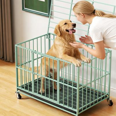 Show full view: Xbrigh Indoor Escape-Proof Double-Door Steel Dog Cage with Removable Tray & Wheels, Green, 48-in slide 6 of 9