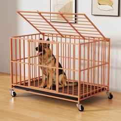 Xbrigh Indoor Escape-Proof Double-Door Steel Dog Cage with Removable Tray & Wheels, Orange, 48-in