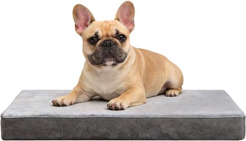 Show full view: LFC PETS Ultra Comfort Memory Foam Dog & Cat Bed with Removable Cover, Grey, Medium slide 5 of 11