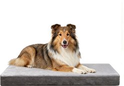 LFC PETS Ultra Comfort Memory Foam Dog & Cat Bed with Removable Cover, Grey, Large