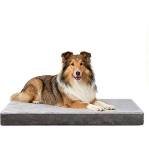 LFC PETS Ultra Comfort Memory Foam Dog & Cat Bed with Removable Cover, Grey, Large