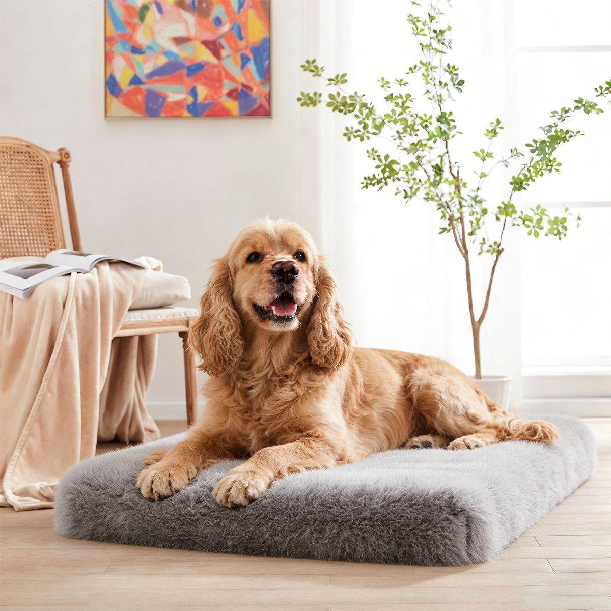 LFC PETS Fluffy Orthopedic Dog Bed with Waterproof Removable Cover, Grey, Medium