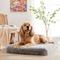 Show in main carousel: LFC PETS Fluffy Orthopedic Dog & Cat Bed with Waterproof Removable Cover, Grey, Medium slide 1 of 8