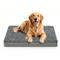 Show in main carousel: LFC PETS Orthopedic Memory Foam Dog & Cat Bed with Removable Cover, Grey, X-Large slide 5 of 9