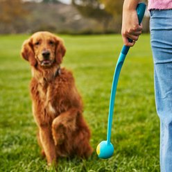 GoSports Pets Ball Thrower Squeaky Dog Launcher Toy, Blue, 24-in slide 2 of 8