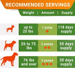StrellaLab Liquid Glucosamine with Collagen Hip & Joint Supplement for Dogs, 16-fl oz bottle slide 2 of 8