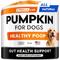 Show in main carousel: StrellaLab Pumpkin High Fiber Powder Stool Consistency & Softener Supplement for Dogs, 8.1-oz jar slide 1 of 9
