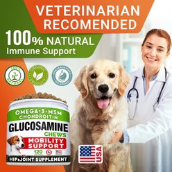 StrellaLab Glucosamine Chondroitin & Hip & Joint with Omegas 3 & Fish Oil Advanced Mobility Chew Supplement for Dogs, 120 count slide 2 of 6