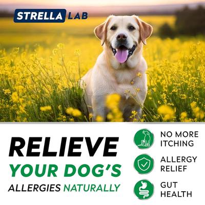 Show full view: StrellaLab Allergy Relief & Anti Itch Relief with Omega 3 Skin & Coat Fish Oil Chew Supplement for Dogs, 120 count slide 5 of 10