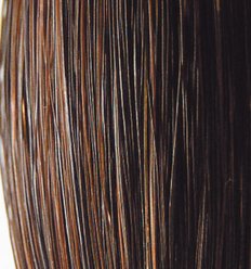 Tail Tamer by Professional's Choice Hunter Natural Horse Hair Tail, Mixed Sorrel, 1-lb