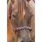 Show in main carousel: Professional's Choice Beaded Rope Horse Halter, Burgundy slide 1 of 1