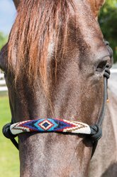 Professional's Choice Beaded Rope Horse Halter, Black/Turquoise