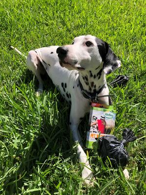 Show full view: BioBag Large Pet Waste Bags, 35 count slide 7 of 8