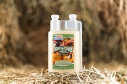 Basic Animal Health Joint N Tissue Health Liquid Horse Supplement, 32-fl oz