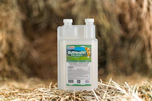 Show full view: Basic Animal Health GutHealth Xtra Strength Liquid Horse Supplement, 32-fl oz slide 2 of 5