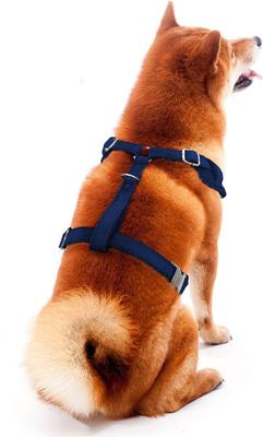 Show full view: Littlearth NFL Velvet Dog Harness, Houston Texans, Large slide 4 of 9