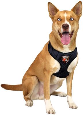 Show full view: Littlearth NFL Velvet Dog Harness, Cleveland Browns, X-Small slide 2 of 8