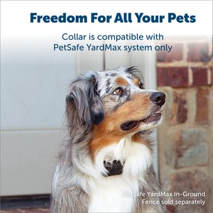 PetSafe YardMax Extra Receiver Collar for In-Ground Fence System Waterproof & Rechargeable for Endless Boundary Safety