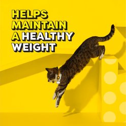 Temptations Fishin’ for Chicken Flavor Indoor Dry Cat Food, 3.15-lb bag slide 2 of 9