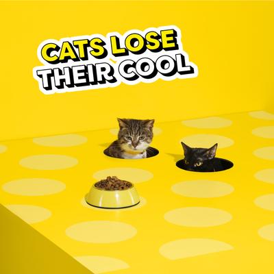 Show full view: Temptations Fishin’ for Chicken Flavor Indoor Dry Cat Food, 13.5-lb bag slide 10 of 10