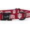 Show in main carousel: ShopInstaPets Indiana Hoosiers Adjustable Dog Collar, Red, X-Small: 12-in neck, 1/2-in wide slide 3 of 4