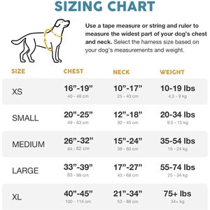 Embark Harness Co. Adventure No Pull Dog Harness, Aurora, Medium