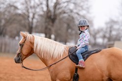 ThinLine Comfort Bareback Horse Pad, Black slide 2 of 6