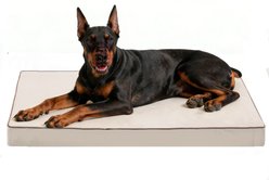 LFC PETS Orthopedic Memory Foam Dog & Cat Bed with Removable Cover, Khaki, XX-Large