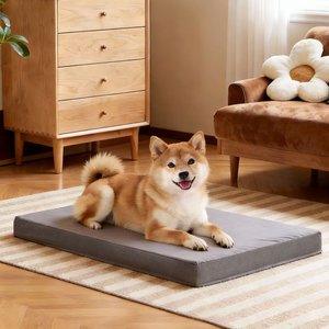 LFC PETS Orthopedic Memory Foam Dog & Cat Bed with Removable Cover, Grey, Large