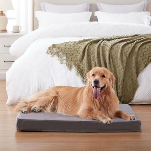 LFC PETS Orthopedic Memory Foam Dog & Cat Bed with Removable Cover, Grey, X-Large