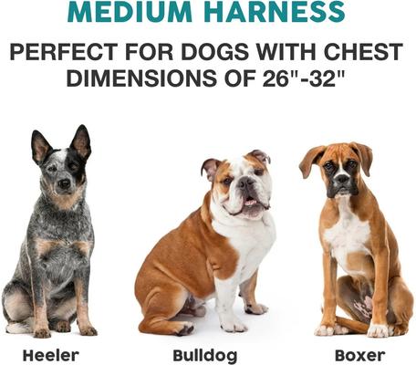 Show full view: Embark Harness Co. Adventure No Pull Dog Harness, Orange, Medium slide 2 of 3