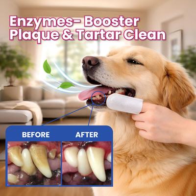 Show full view: Dr. Paws Peanut Butter Scented Dog Dental Finger Wipes, 50 count slide 5 of 9