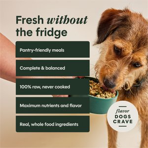 Instinct FreshDried Meal Blends Grain-Free Raw Beef & Wild Berries Blend Freeze-Dried Dog Food, 3-oz bag