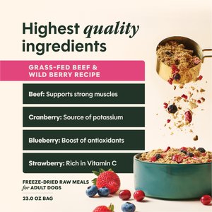 Instinct FreshDried Meal Blends Grain-Free Raw Beef & Wild Berries Blend Freeze-Dried Dog Food, 23-oz bag
