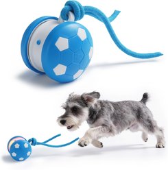 Nocciola Paw Soccer Roller & Moving Interactive Ball Dog Toy with Rope, Blue, Medium slide 1 of 6