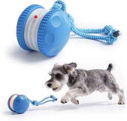 Nocciola Roller Rover & Moving Interactive Smart Ball Dog Toy with Rope, Blue, Medium