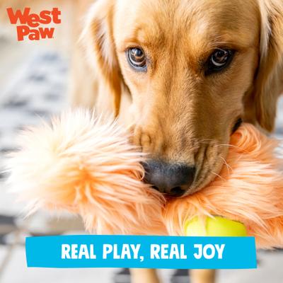 Show full view: West Paw Sven Rowdies Durable Squeaky Plush Dog Toy, Melon slide 7 of 10