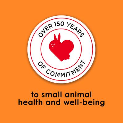 Show full view: Kaytee Fiesta Gourmet Variety Diet Gerbil & Hamster Food, 15-lb bag slide 9 of 11