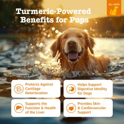 Show full view: Zesty Paws Turmeric Curcumin Bites Bacon Flavored Soft Chews Multivitamin for Dogs, 90 count slide 3 of 11