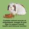 Show in main carousel: Kaytee Fiesta Rabbit Food, 25-lb bag slide 6 of 15