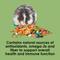 Show in main carousel: Kaytee Fiesta Gourmet Variety Diet Gerbil & Hamster Food, 15-lb bag slide 6 of 11