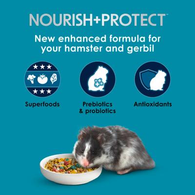 Show full view: Kaytee Forti-Diet Pro Health Nourish+Protect Hamster & Gerbil Food, 8-lb bag slide 2 of 11